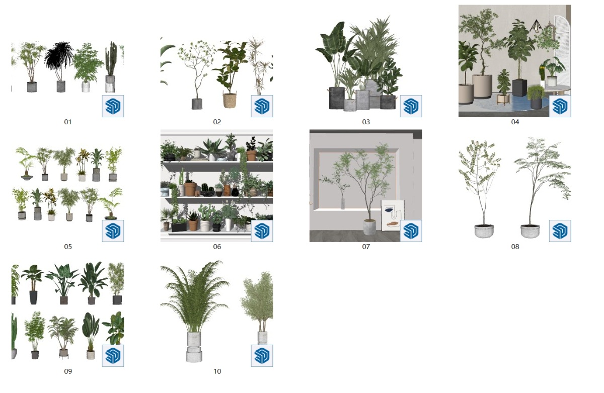 SketchUp植物盆栽模型su模型草图大师模型免费下载20240814