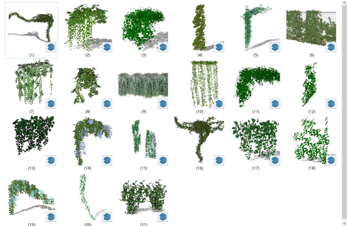 SketchUp园林景观单体模型-3D藤本植物su模型草图大师模型免费下载20250114