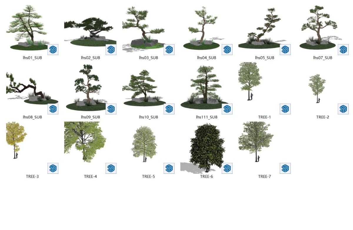 SketchUp园林景观模型-树木su模型草图大师模型免费下载20240904
