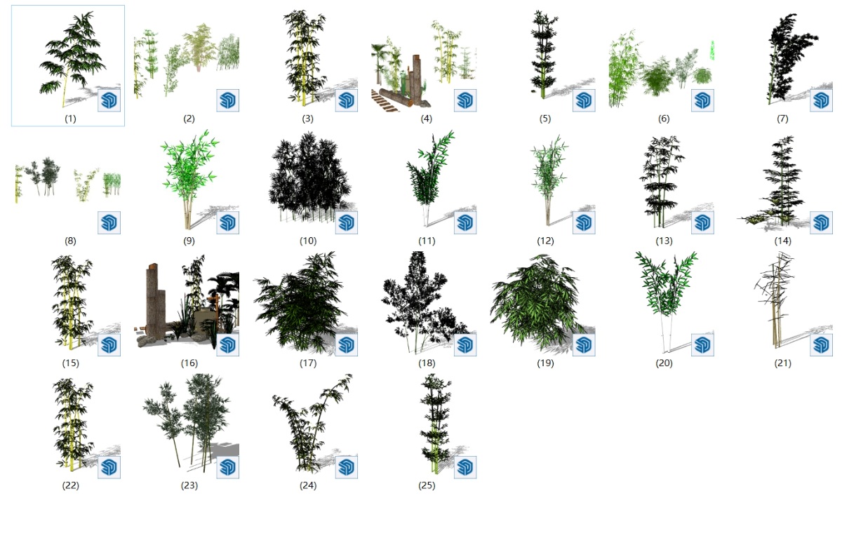 SketchUp园林景观单体模型-竹类su模型草图大师模型免费下载202401229