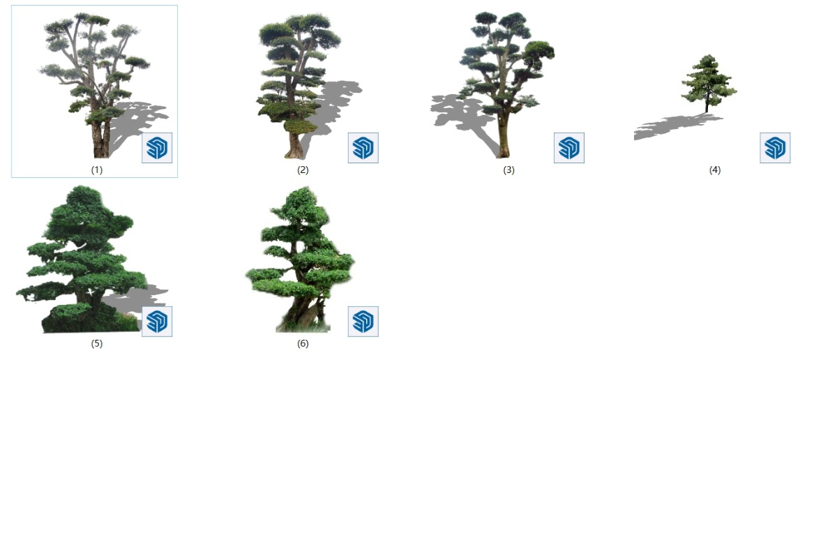 SketchUp园林景观单体模型-2D造型树类20250111