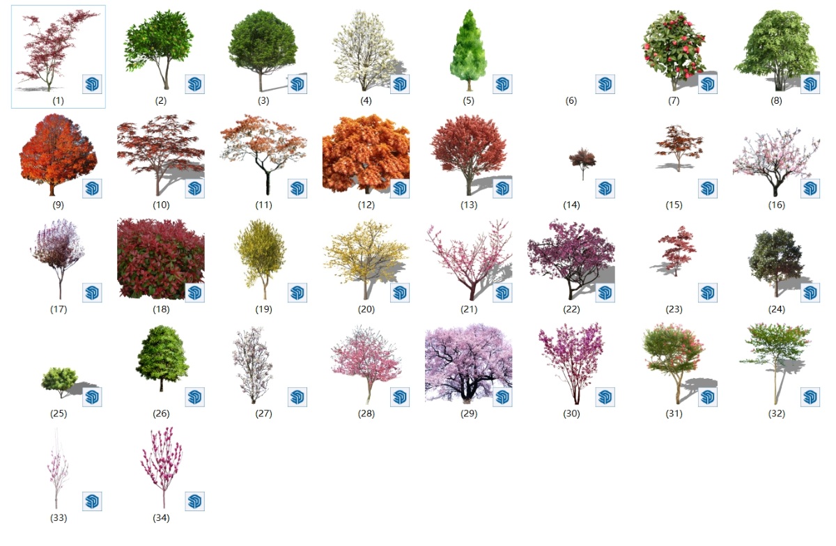 SketchUp园林景观单体模型-2D小乔木su模型草图大师模型免费下载20250120