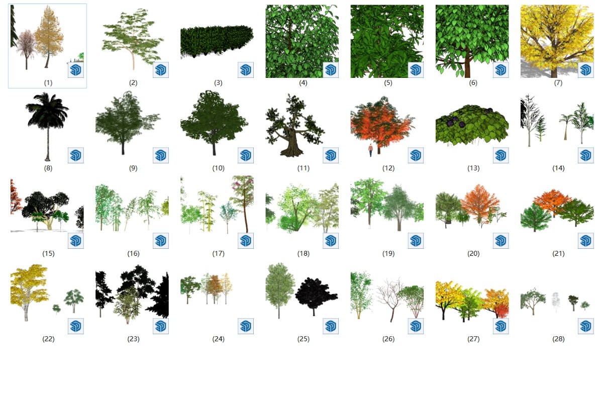 SketchUp园林景观单体模型-大树模型su模型草图大师模型免费下载20250104