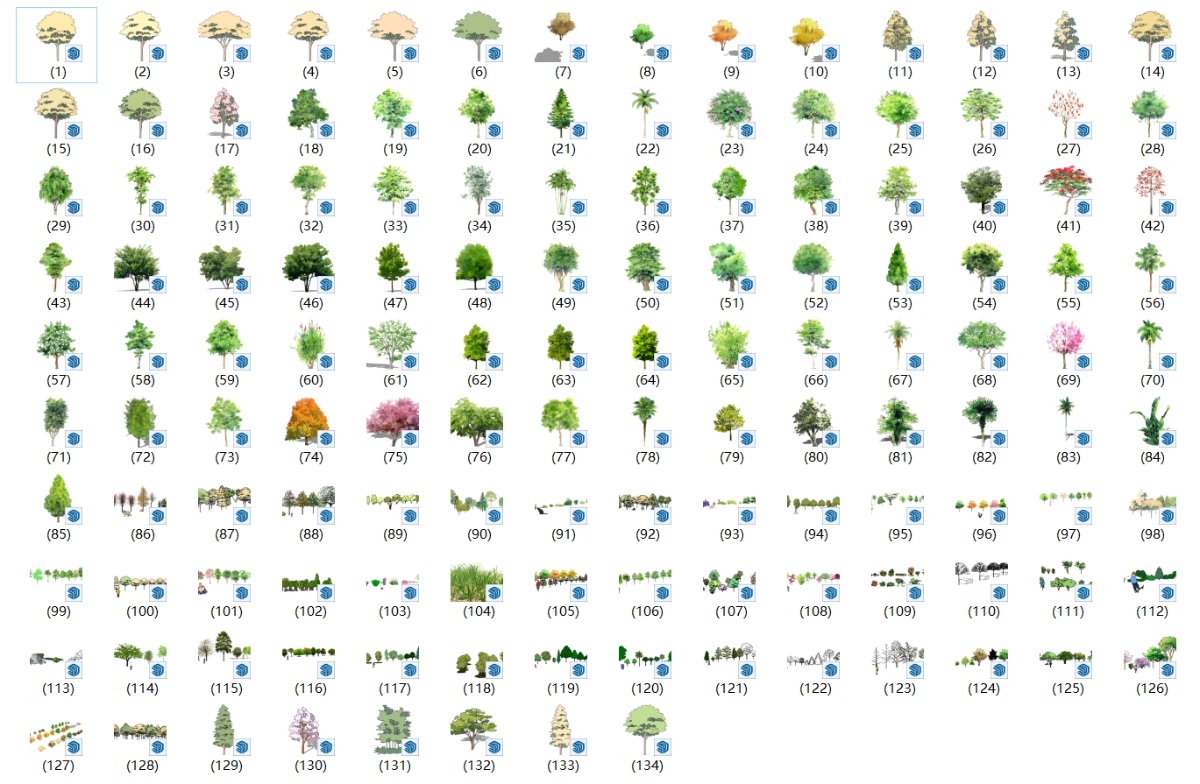 SketchUp园林景观单体模型-2D手绘乔木su模型草图大师模型免费下载20250108