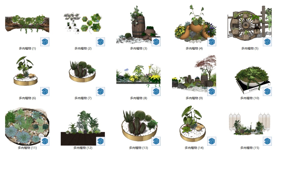 SketchUp多肉植物盆栽模型su模型草图大师模型免费下载20240808